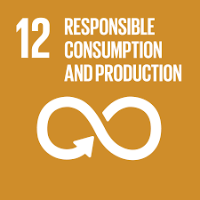 12_responsible_consumption